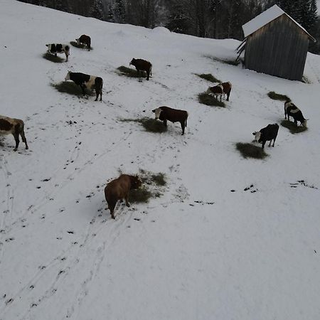 Casa Agroturistica Tarancuta Din Vatra Moldovitei酒店 外观 照片