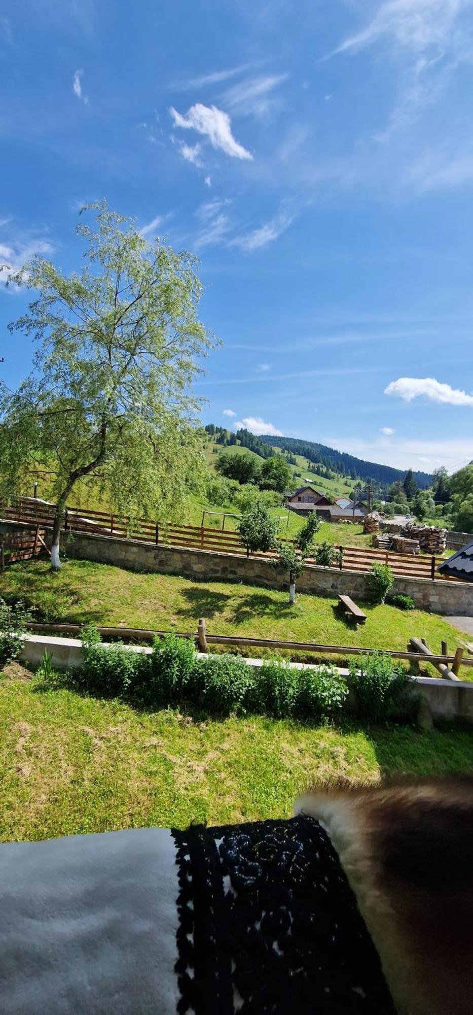 Casa Agroturistica Tarancuta Din Vatra Moldovitei酒店 外观 照片