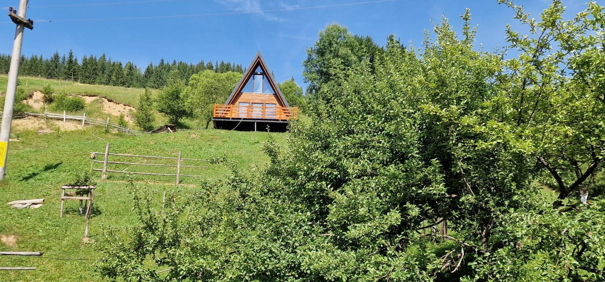 Casa Agroturistica Tarancuta Din Vatra Moldovitei酒店 外观 照片