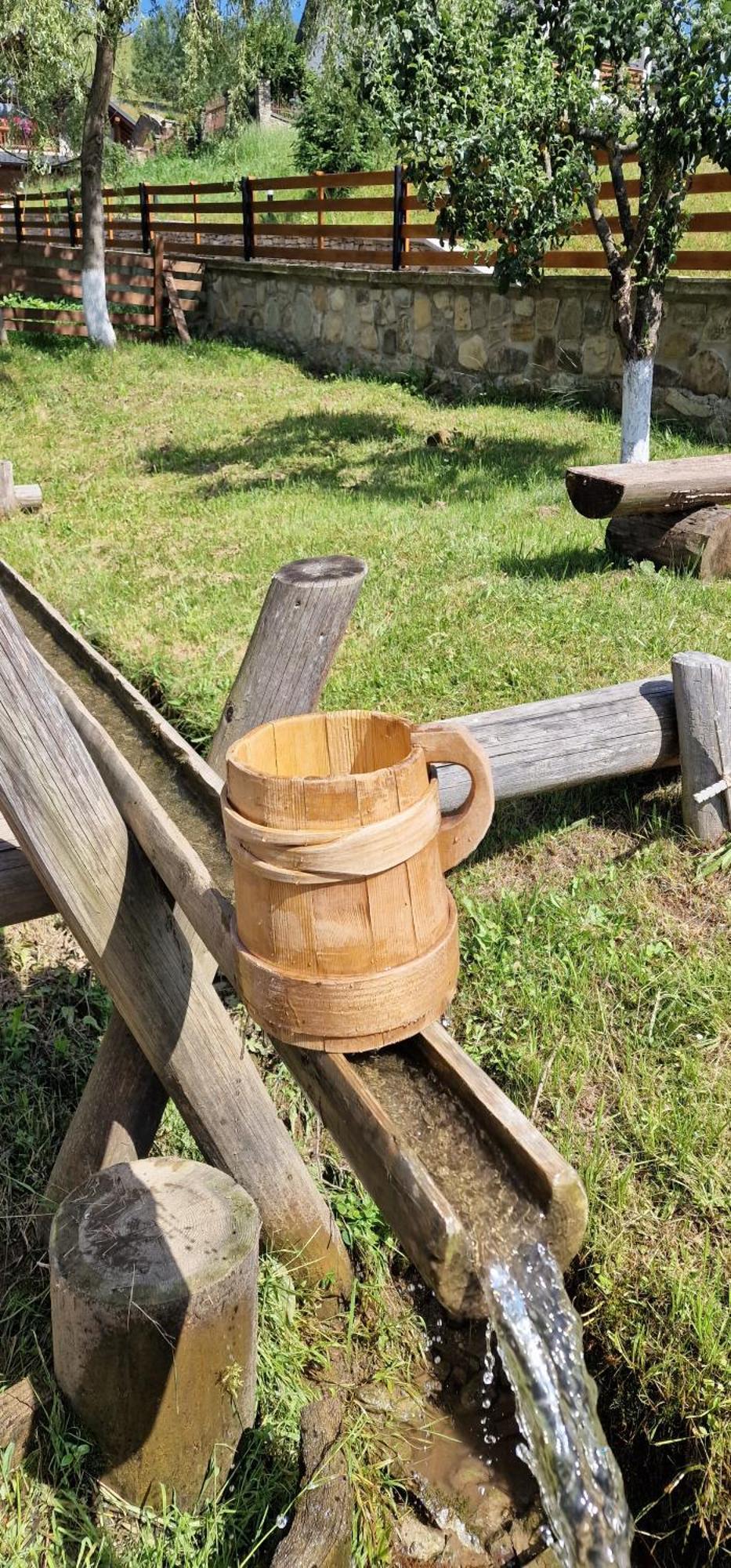 Casa Agroturistica Tarancuta Din Vatra Moldovitei酒店 外观 照片