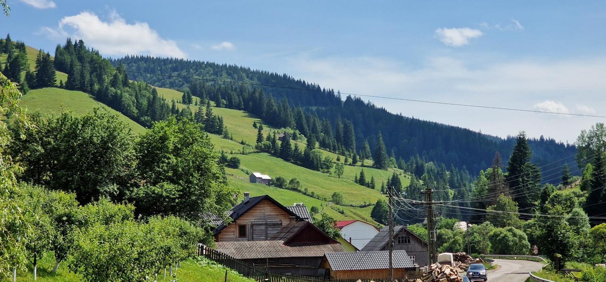 Casa Agroturistica Tarancuta Din Vatra Moldovitei酒店 外观 照片